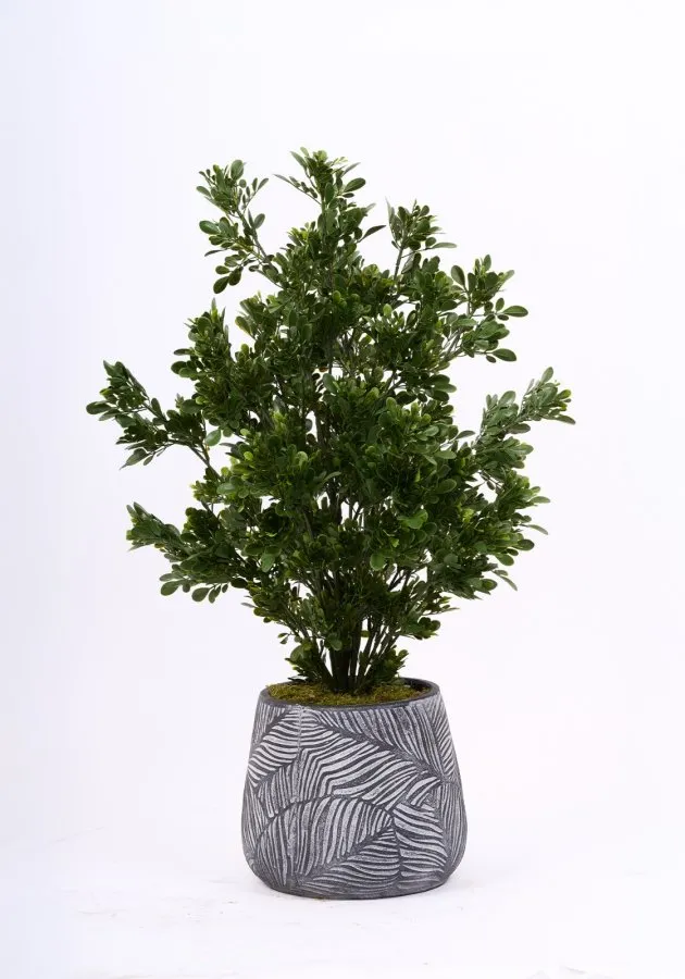 AG9047 001 BONSAI UV TEA LEAF AGAC 78 CM