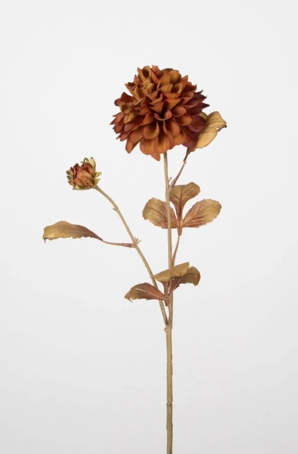  0103644 KASIMPATI 72 CMKOYU KAHVERENGİ