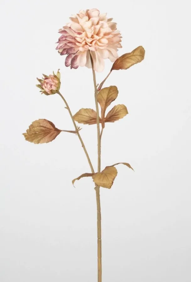 0103644 KASIMPATI 72 CM KOYU PEMBE