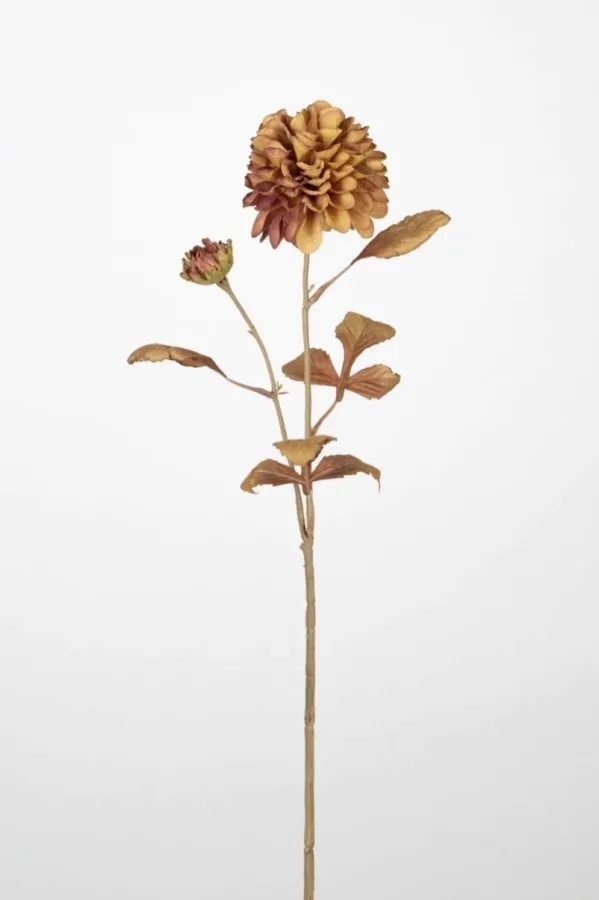 0103644 KASIMPATI 72 CM AÇIK KAHVERENGİ