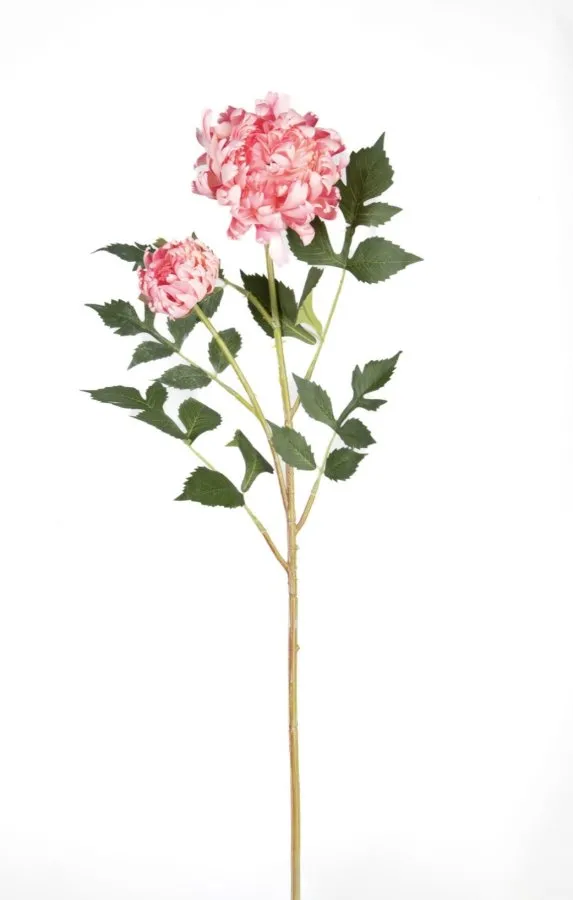 0105805 KRİZANTEM 70 CM PEMBE