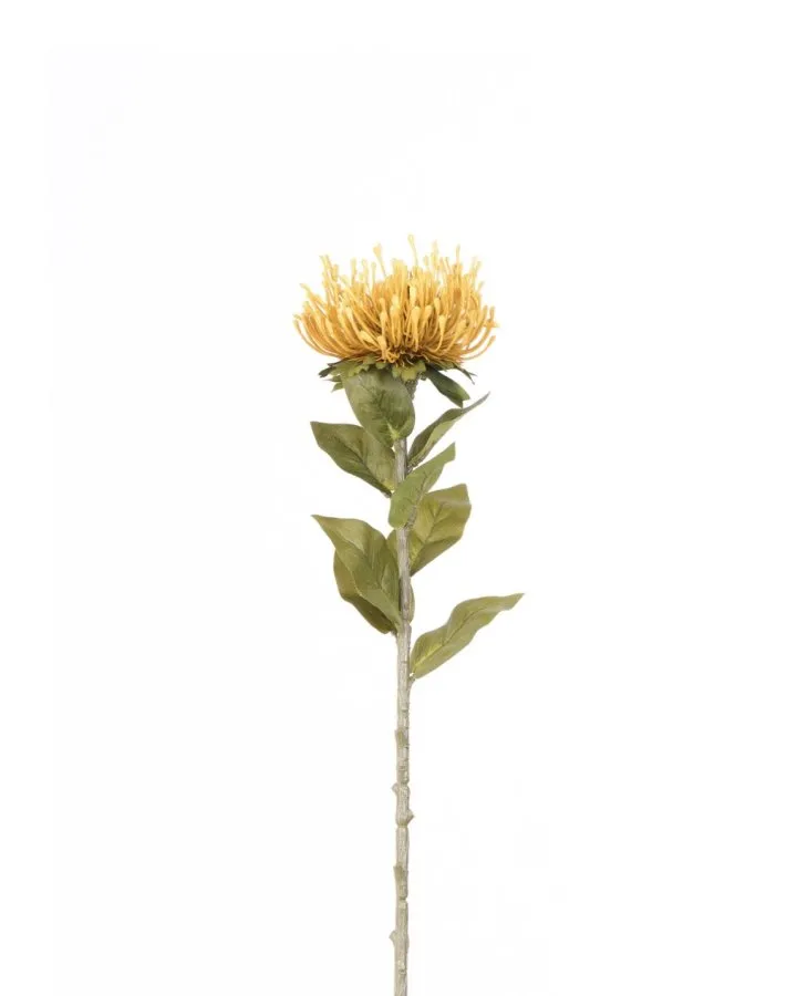 0102222 PROTEA TEK DAL 73 CM SARI