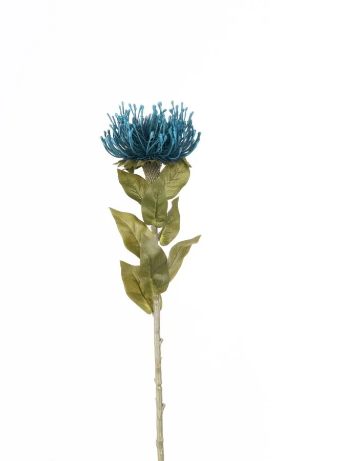 0102222 PROTEA TEK DAL 73 CM SARI MAVİ