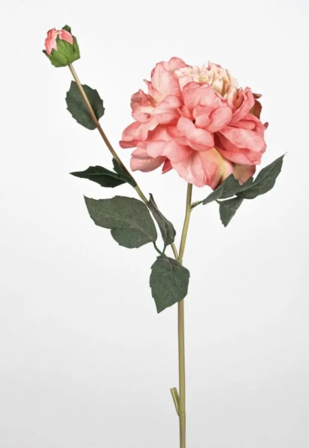 0103635 GÜL 67 CM PEMBE