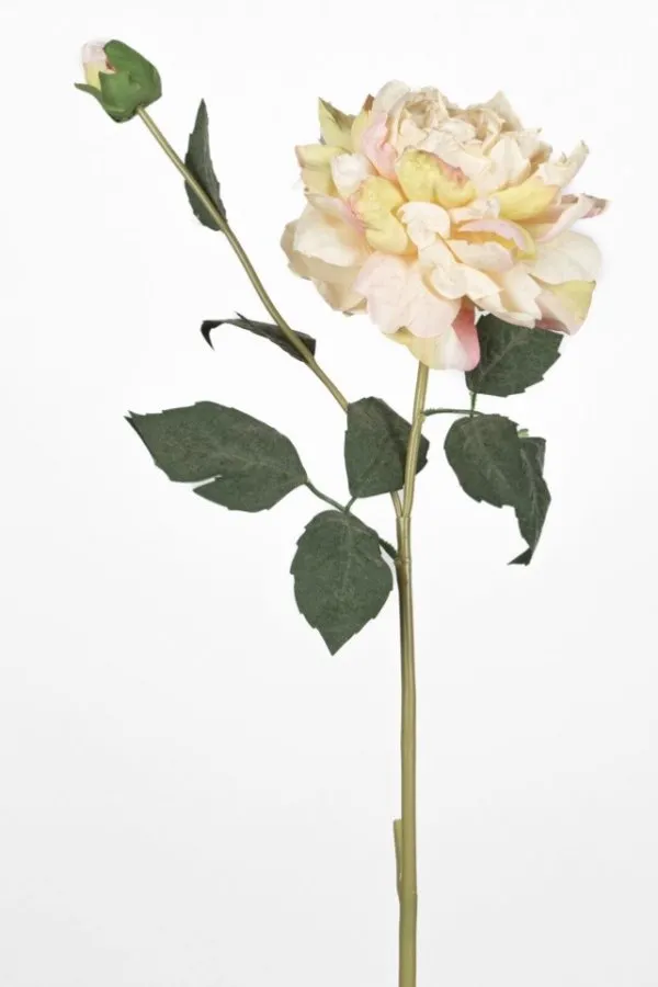 0103635 GÜL 67 CM KREM