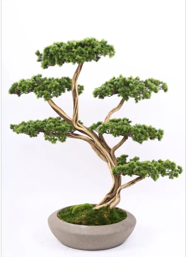 BONSAI 120 CM AĞAÇ SAKSILI AG2236-005