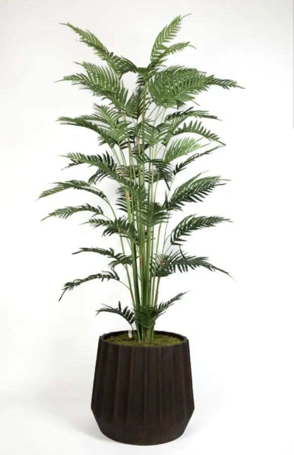 FERN PALM 220 CM SAKSILI AG3559-016