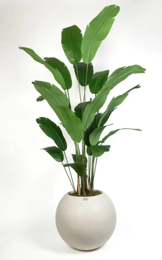 STARLİÇE REAL TOUCH 210CM SAKSILI AG3625-005