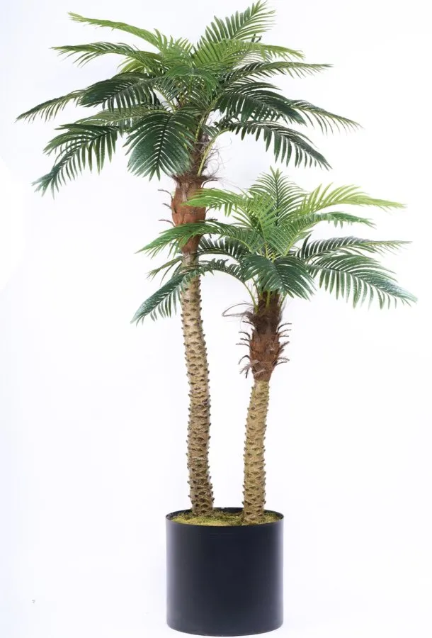 250CM REAL TOUCH PALM TREE X 30 LVS AG3504-001