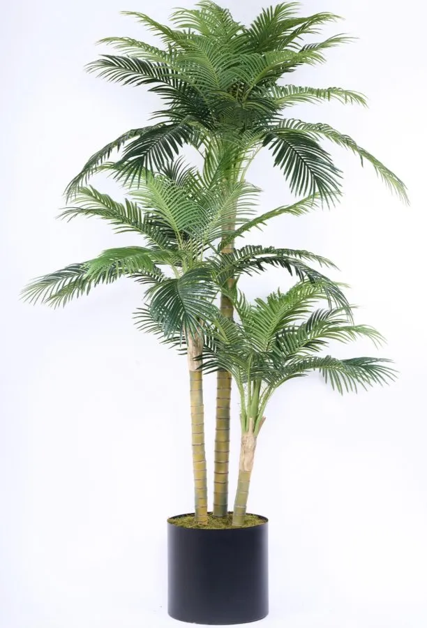 300CM REAL TOUCH PHOENIX PALM X 48 LVS AG3505-001