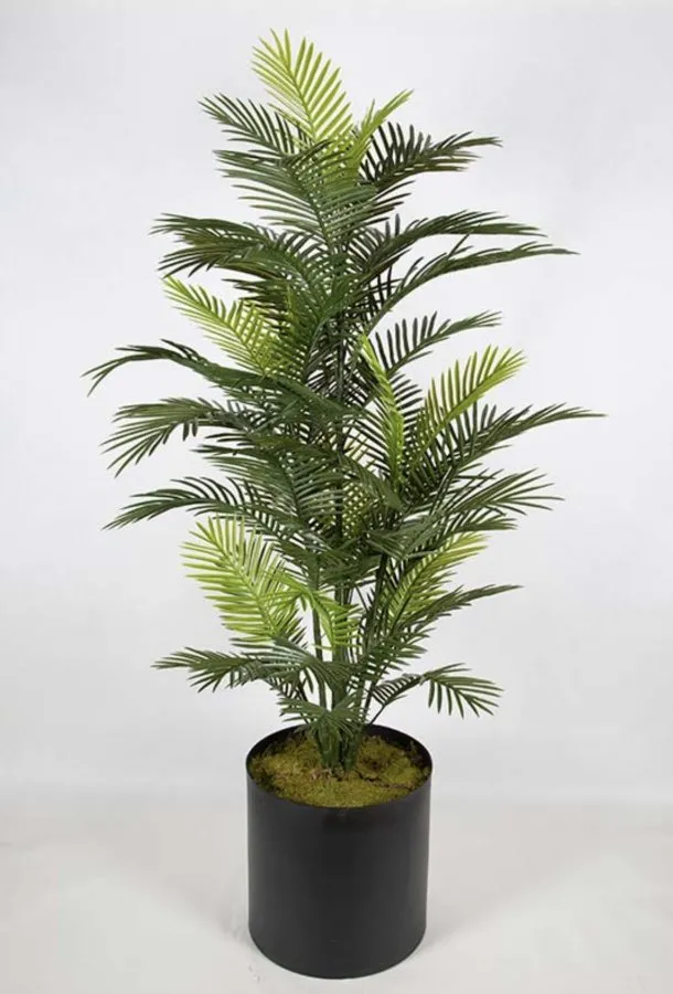 UV PLASTIC BIG ROBELLINI PALM TREE 182CM 0109029