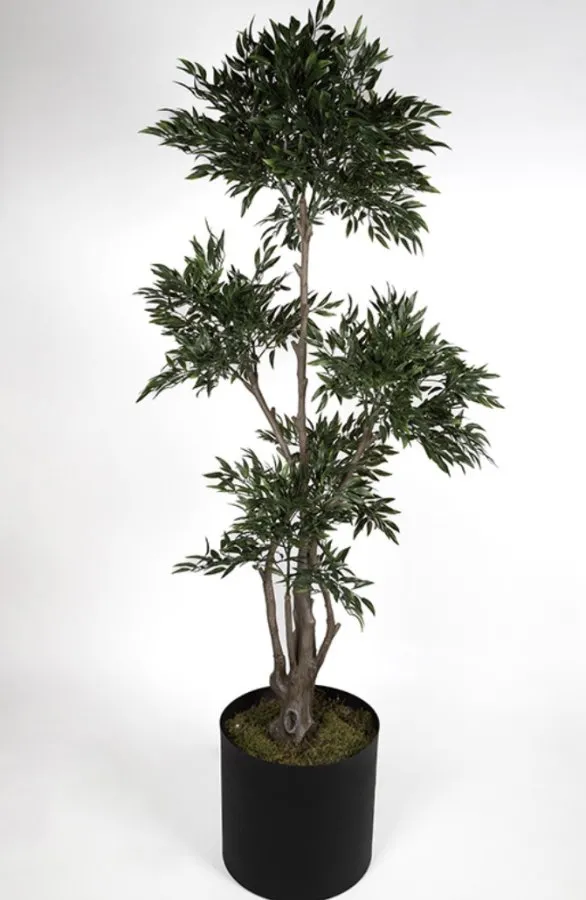 PLASTIC RUSCUS TREE 182 CM 0109039